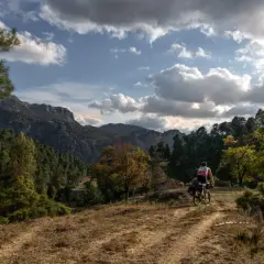 Ciclista en ruta GR 247 en bici, pedaleando por un sendero entre pinos y montañas bajo un cielo nublado.