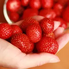 Ile kalorii mają truskawki? Niskokaloryczny hit na odchudzanie!