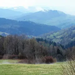 Muszyna - odkryj piękne góry i szlaki turystyczne w okolicy