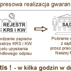 Odpis KRS co to jest i jak może uratować Twoją firmę