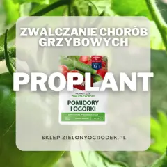 Proplant 722 SL jak stosować? Oprysk na pomidory i ogórki zwalcza choroby grzybowe. Długo działa, chroni i zwalcza.