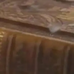 Jak Kościół katolicki zmienił Biblię i wpłynął na jej interpretację