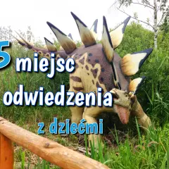 Weekend z dzieckiem w Polsce: 20+ pomysłów na każdą pogodę!