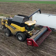 Żółta kombajn zbiera pozostałości po uprawie słonecznika, ładując je do białej przyczepy.