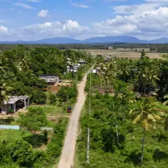 Droga przez palmy i pola, domy, tuk-tuk. Czy Sri Lanka jest bezpiecznie? Spokojna wieś, zieleń, góry w oddali.