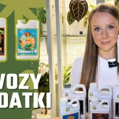 Najlepszy nawóz do hydroponiki – uniknij błędów w uprawie roślin