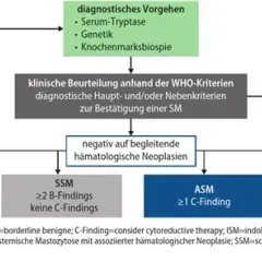 Mastozytose Diagnostik: Wichtige Kriterien und Methoden zur Erkennung