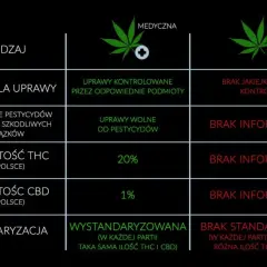 THC w medycznej marihuanie? Co to oznacza dla pacjenta?