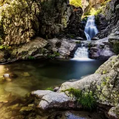 Agua cristalina fluye en la cascada del purgatorio, rodeada de rocas cubiertas de musgo y vegetación exuberante.