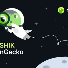 Shikoku kryptowaluta: co warto wiedzieć o jej zaletach i potencjalnych ryzykach