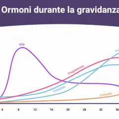Grafico ormoni gravidanza: hCG, progesterone, estradiolo, prolattina, cortisolo. Valori beta hcg gemelli potrebbero essere più alti.