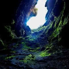 El sendero musgoso de Cova das Choias se abre hacia una luz brillante, invitando a explorar sus misterios verdes y rocosos.