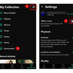 Tidal offline: Jak pobierać muzykę krok po kroku (Poradnik)