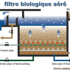 Schéma d'un filtre biologique aéré montrant le flux d'eau, les médias filtrants et le système d'aération pour une purification efficace.