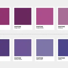 Tonalità di viola: il viola è un colore caldo o freddo? Esempi di viola caldi (sopra, con sole) e freddi (sotto, con fiocco di neve).
