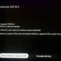 Meldung: "SSD M.2 formatieren" ist nötig, da die Reparatur fehlschlägt. Alle Daten gehen verloren.