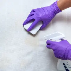 Mit lila Handschuhen wird erbrochenes aus Sofa entfernen hausmittel angewendet. Ein Schwamm tupft die Flecken, während eine Sprühflasche daneben steht.