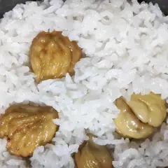 A close-up of fluffy white rice with sweet, glazed chestnuts scattered throughout. This chestnut rice looks delicious and comforting.