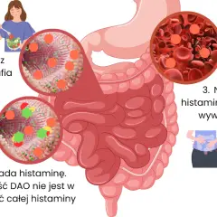 Ilustracja wyjaśnia, jak histamina z pożywienia wpływa na organizm, prowadząc do objawów. Kluczowa jest dieta antyhistaminowa.