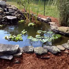 Un bassin préformé avec une cascade rocheuse, des nénuphars et des plantes aquatiques. Les bords sont dissimulés par des pierres naturelles et du paillis.