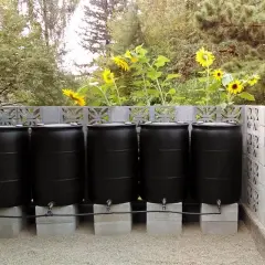 A DIY rain barrel system with four black barrels connected by hoses, set on concrete blocks behind a decorative cinder block wall. Sunflowers bloom above.