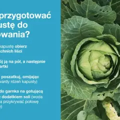 Młoda kapusta, gotowa do przygotowania. Instrukcja krok po kroku, jak ją obrać, pokroić i ugotować.