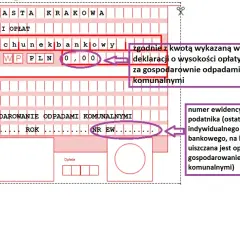 Opłaty za śmieci: Jak sprawdzić i obniżyć rachunek?