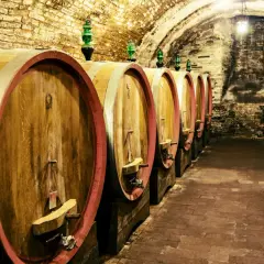 Botti di legno in una cantina storica, un'immagine che evoca le migliori cantine toscane e la loro tradizione vinicola.