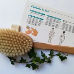 Cepillo de madera con cerdas naturales y hojas de hiedra, junto a un folleto sobre cepillado en seco.