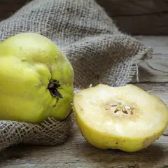 Eine ganze und eine halbe Quitte liegen auf grobem Leinen. Die Frucht ist gelbgrün und leicht flaumig. Man fragt sich, wie schmeckt quitte wohl?