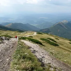 Wędrówka po górach Słowacji na weekend. Widok na zielone wzgórza i doliny, kamienista ścieżka, samotny turysta w czerwonej kurtce.