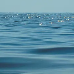 Błękitne fale Bałtyku, gdzie zasolenie jest niższe niż w oceanach, odbijają światło.