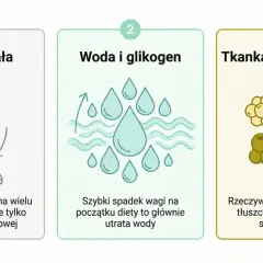 Trzy etapy utraty wagi: masa ciała, woda i glikogen, tkanka tłuszczowa. Zmiany w metabolizmie.