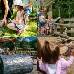 Rodzinne atrakcje na weekend w Trójmieście: dzieci karmią lemura, oglądają dinozaury i bawią się w jaskini.
