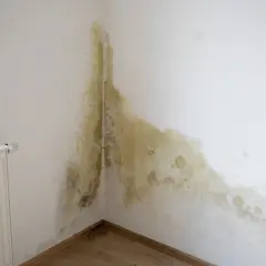 Plamy pleśni na rogu ściany, obok kaloryfera i okna. Potrzebny preparat na grzyba na ścianie.