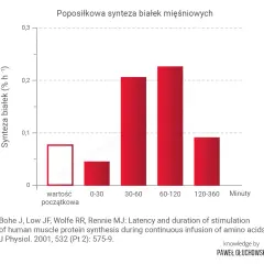 Białko po treningu: Kiedy i ile? Obalamy mit okna anabolicznego