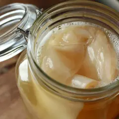 Grzybek kombucha (SCOBY): Co to jest? Rozpoznaj zdrową kulturę i pleśń!