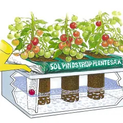 Tomater växer i en autopot-odling. En gul vattenkanna vattnar plantorna som står i en påse med jord. Rötterna hänger ner i en behållare med vatten.