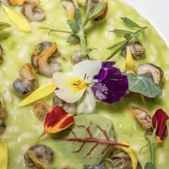 Un risotto verde brillante con lumachine, fiori eduli e petali gialli. Un prato città in miniatura, un'opera d'arte commestibile.