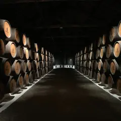 Jak przechowywać whisky, aby nie stracić jej wyjątkowego smaku?