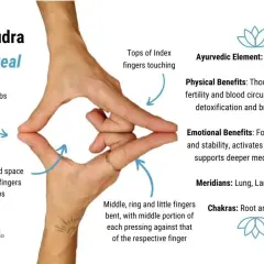 Manos formando el Yoni Mudra, "Sello del Útero". Dedos índices y pulgares unidos, creando un espacio romboidal. Beneficios para fertilidad y meditación.
