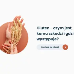 Dłonie trzymające kłosy zbóż. Tekst pyta: Gluten - czym jest, komu szkodzi i gdzie występuje? Dowiedz się więcej.
