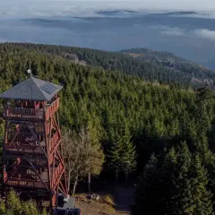 Drewniana wieża widokowa na szczycie Orlica, otoczona gęstym lasem świerkowym, z morzem mgieł w tle.