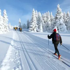 Skilanglauf in Deutschland: Eine Gruppe Langläufer genießt die verschneite Winterlandschaft mit tiefen Spuren im Schnee.