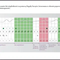 Dni płodne w menopauzie? Czy ciąża po 40. jest możliwa?