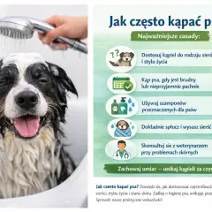 Szczeniak w wannie, myty przez człowieka pod prysznicem, z pianą na głowie.