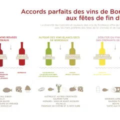 Quel vin de Bordeaux avec le fromage ? Ce guide illustre les accords parfaits, des rouges structurés aux crémants effervescents, pour sublimer vos repas de fête.