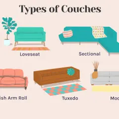 Illustration showcasing different types of couches: loveseat, sectional, English arm roll, tuxedo, and modular.