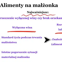 Kluczowe dla alimentów na męża po rozwodzie: wina, standard życia, niedostatek. Adwokat Marta Wnuk wyjaśnia.