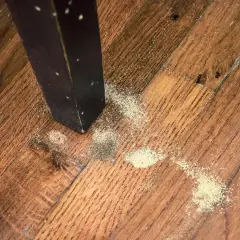 Segni di **tarli parquet**: polvere fine e detriti vicino alla gamba di un mobile scuro su un pavimento in legno.